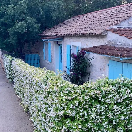 Majda Tar-Vabriga
